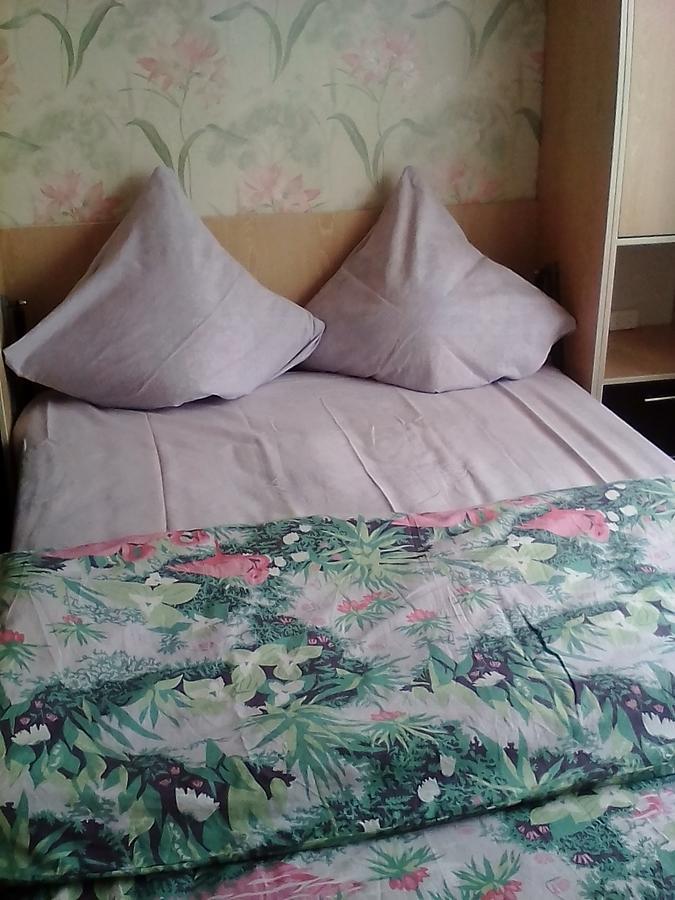 Apartment Tverichanka On Khromova 25 Екстериор снимка